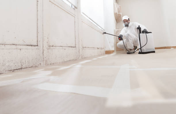 24/7 Emergency Attic Mold Removal experts in Merchantville, NJ